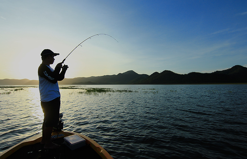 ++กระทู้ที่ 40  [url='http://www.siamfishing.com/board/view.php?tid=649884']http://www.siamfishing