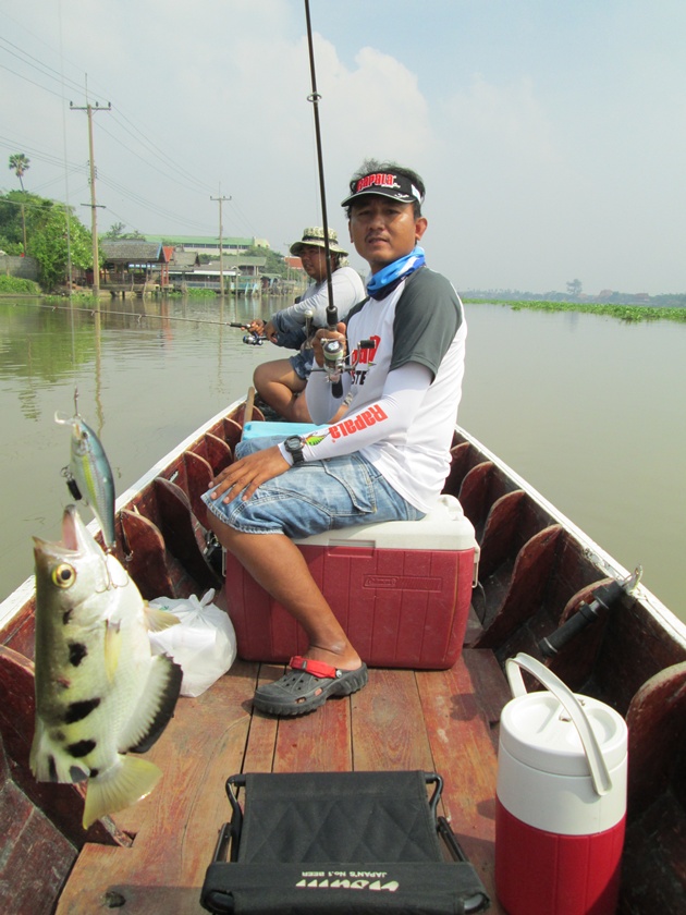  [center] [b]เจอทุกครั้งที่ลงเรือสำหรับปลาเสือพ่นน้ำไม่ได้รับเชิญแต่มาให้เห็นหน้าตลอด[/b][/center]