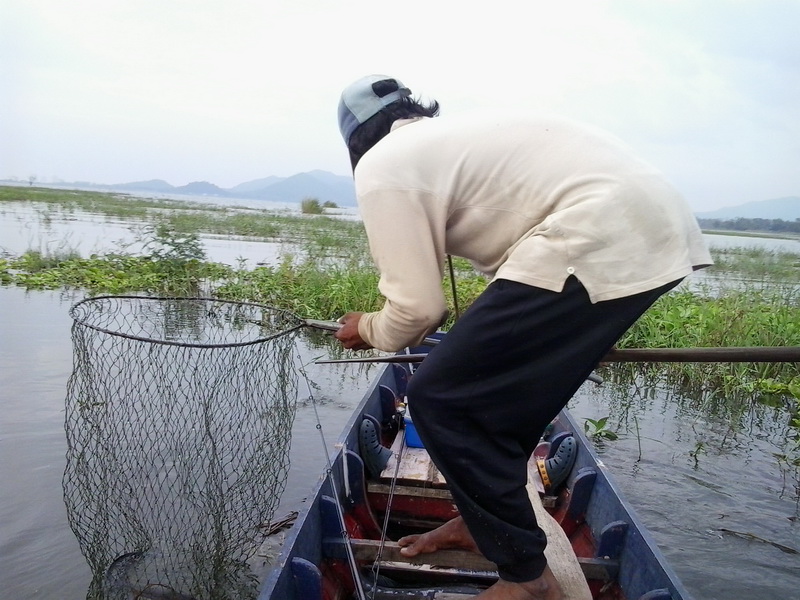 โดนปลาช่อนอีกตัวครับ