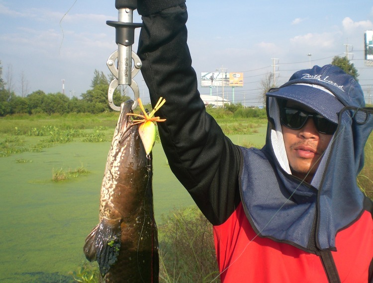 หนูเอาอยู่อีกแระตัวที่ 2 ของผมให้น้าโก๋หล่อหน่อย :grin: :grin: :grin: :grin: :laughing: :laughing: :