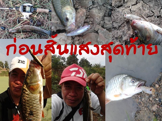 ก่อนสิ้นแสงสุดท้าย