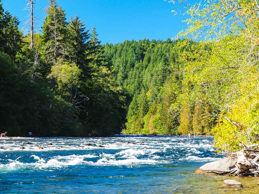 บรรยกาศของแม่น้ำ Campbell River