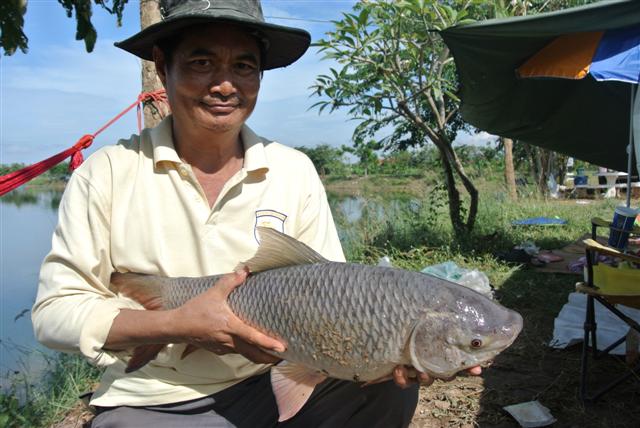 พ่อกับปลาตัวที่สองครับ พ่อตกปลาเป็นเพราะผมเลยครับพ่อบ่นมันจะบ้าตกปลาอะไรนักหนาเลยสอนซะทีนี้ติดเลยครั