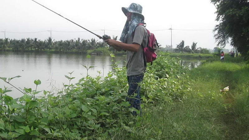 น้าท่านนี้ได้แชมป์ปลาช่อนตัวยาวที่สุดครับด้วยใหญ่มากเลยครับ