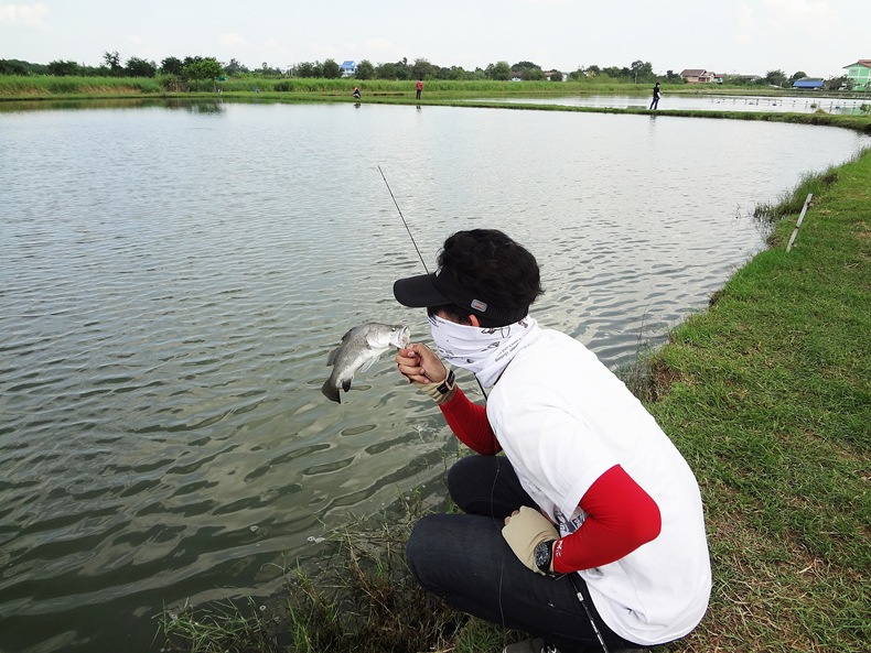 ไม่ไหวๆ...ยิ่งตก ยิ่งเล็กลง...ยังงี้หรื่อป่าว ที่เรียกว่า  เหยื่อใหญ่ปลาใหญ่.....เหยื่อเล็กปลาเล็ก !