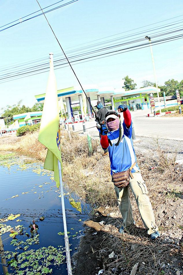 นับ1 ล่ะค้าบบบบ  เป็นลางบอกเหตุ ของทั้งเปาและพันธ์ล่ะงานนี้