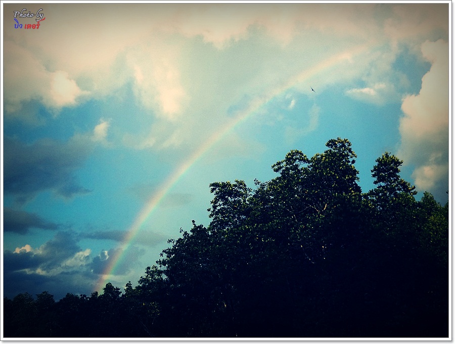  [b]" สายรุ้ง  สายฝนพร่ำ "[/b]