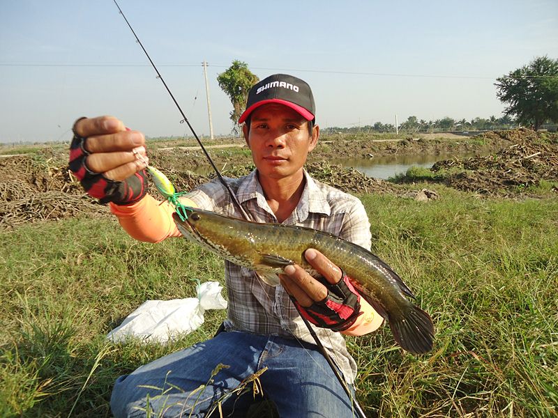 มันต้อง..ตื้อเหมือนกัน ตามมาแต่ไม่กัด ต้องกวนประสาทมัน ลากแรงๆ ซักพักเดียว ได้เรื่อง    :grin: :grin