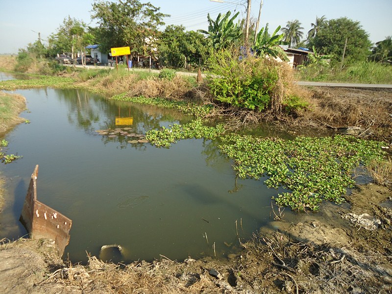 ด้าน..หัวถนน ตรงทางเข้า    :love: :love: :love: