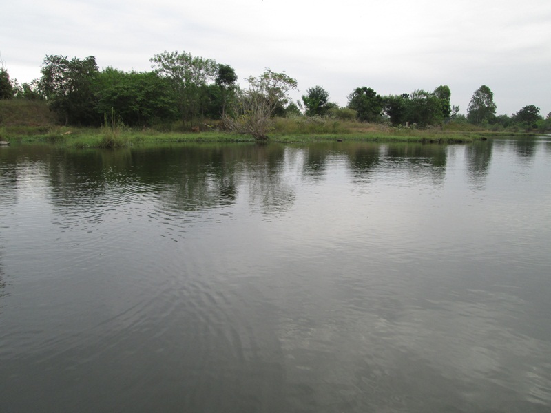  [center] [b]บรรยากาศน่าตกปลามากๆกับหมายส่วนตัวมีแต่เรือของพวกเราลำเดียวโคตะระมีความสุข[/b][/center]