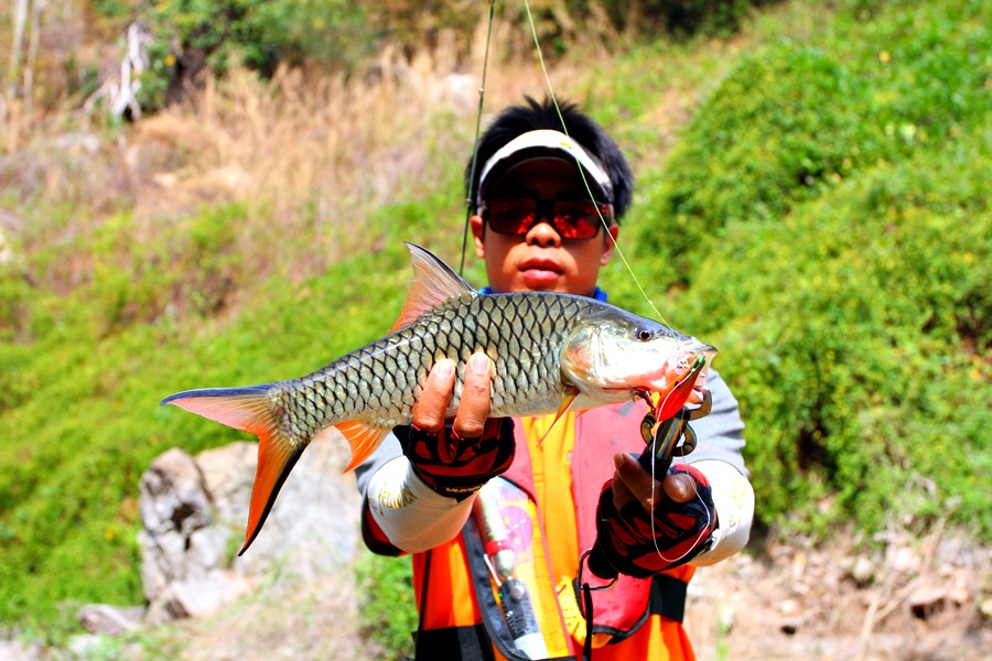 
[q][i]อ้างถึง: fishingjoke posted: 04-01-2556, 13:32:58[/i]

 :cheer: :cheer: :cheer: :cheer: :c