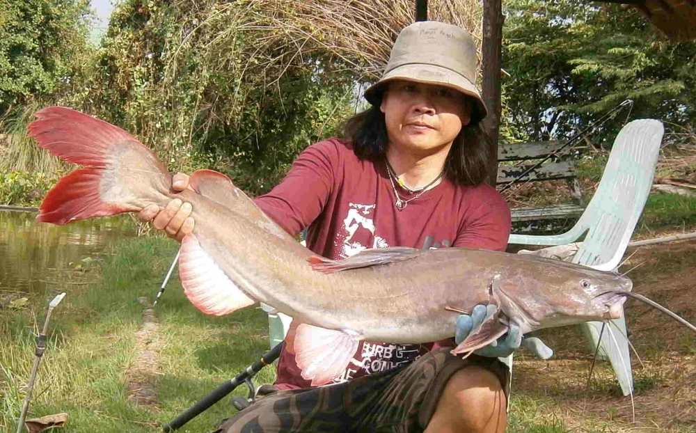 Palm tree ragoon fishing park