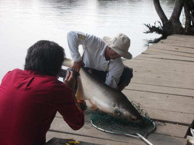 ซุ้มข้างๆ  ส่วผม เงียบกริบ  หลัง  จากเที้ยงมา  นั้งเหงาเลย ครับ