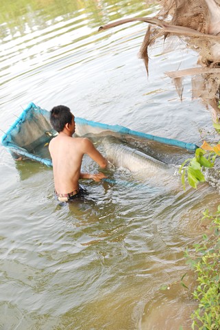 ลุ้นกันน่าดู 