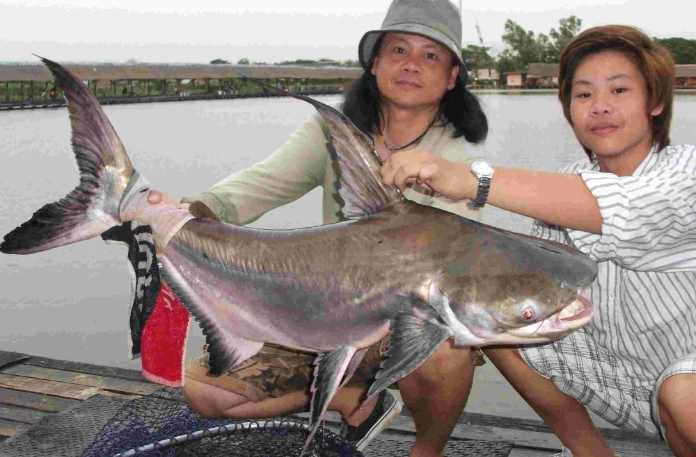 Bungsamlan fishingpark