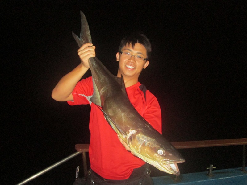 cobia ปลาช่อนทะเล  :grin: