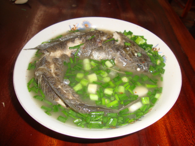 แปรรูปแล้ว
เมนูโปรดของบ้านนี้
ปลาช่อนต้มปลาร้า (ปลาค่อต้มน้ำปลาร่า)
ใส่หอมซอย บีบมะนาว  พริกป่น
