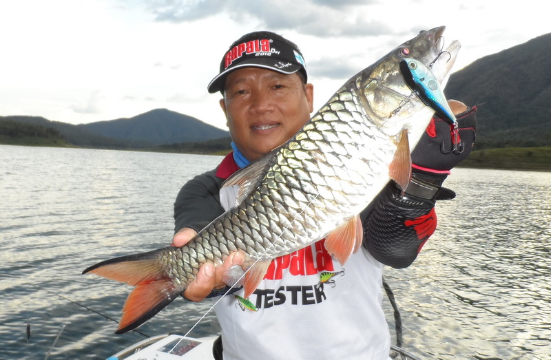 การค้นหาโทรฟี่งามๆ ก็ดำเนินมาเกือบถึงเย็น
Rapala Clackin' Rap เป็นเหยื่อนำโชคจริงๆ