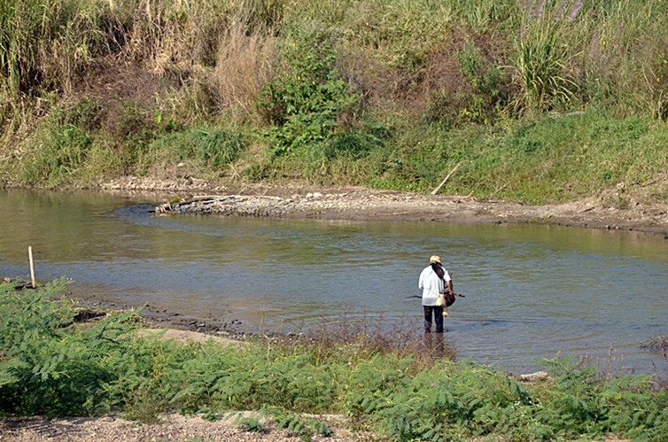 น้าคนนี้กำลังตักปลาตามกอหญ้า ด้วยสวิง ได้ซะด้วยแสดงว่าปลาเยอะนะเนี่ย แม่น้ำปาย :blush: