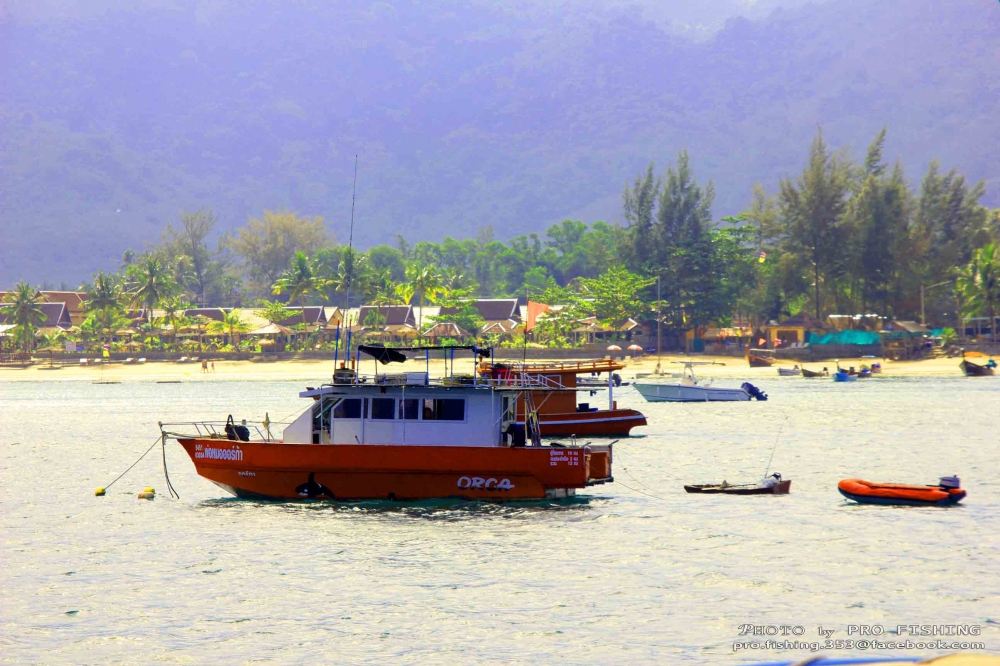 เรือออก้า...ครับ เข้ามาตั้งแต่ตอนเช้าแล้ว

ปีนี้ได้มา 1 รางวัลจากการตกได้ปลาฉลาม

 :smile: :smil