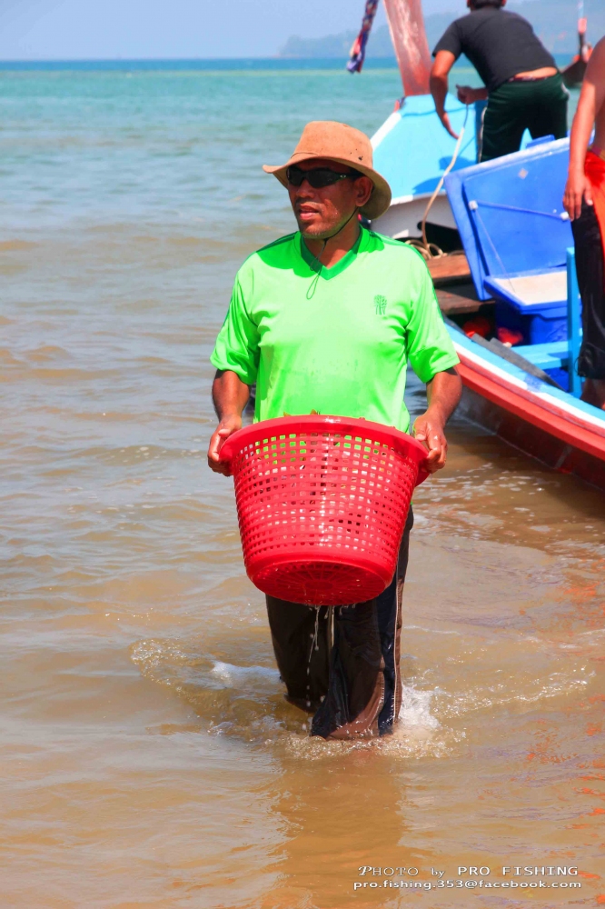 เมื่อเรือถึงฝั่ง...จะมีเจ้าหน้าไปนำปลาขึ้นมาชั่ง

โดยจะให้กัปตันเลือกตัวใหญ่สุด 1 ตัว(ถ้ามี) เพื่อ