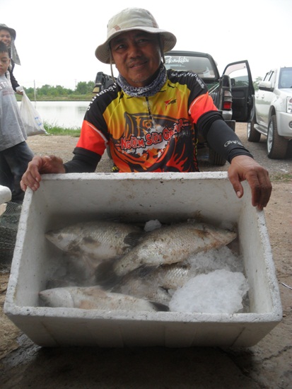 พี่พงษ์ครับกี่ตัวครับ  :laughing: :laughing: :laughing: