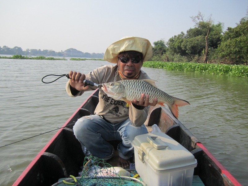 ตัวนี้ไซร์สวย :cheer: