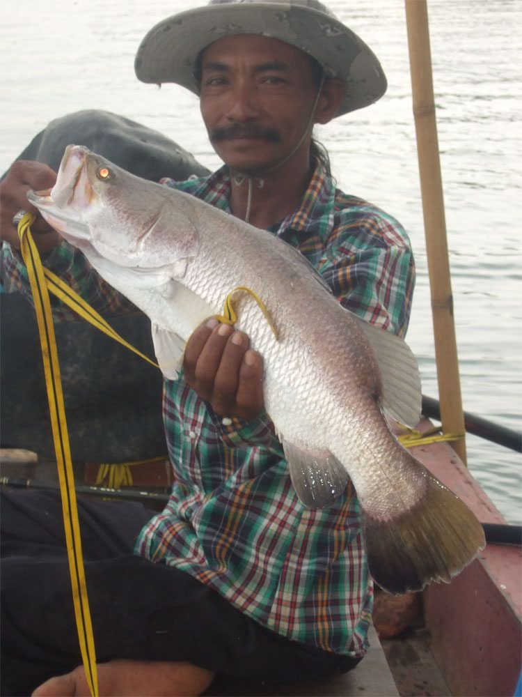 ไต๋จงกระพง เสาร์-อาทิตย์: SiamFishing : Thailand Fishing Community