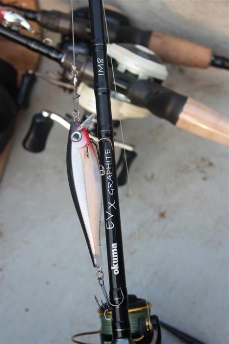 ฺBalsa Xtreme Minnow  :grin: :grin: :grin: