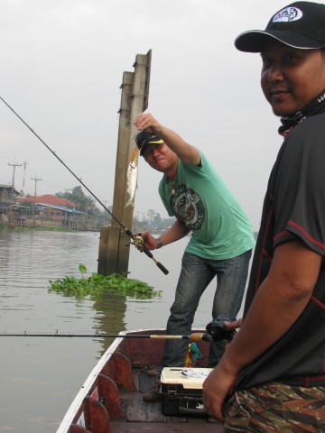 พอลงเรือยังไม่ทันได้ติดเครื่อง เห็นปลาขึ้นไต๋ต้นบอกเล่นเลย น้าไก่เลยจัดแปบควายขึ้นมา1หน่วยครับ :grin