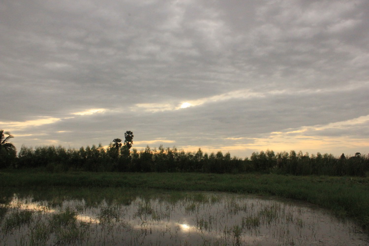 ดูเหมือนว่าฝนจะตก อากาศดูครึ้มๆ  :think: :think: :think: