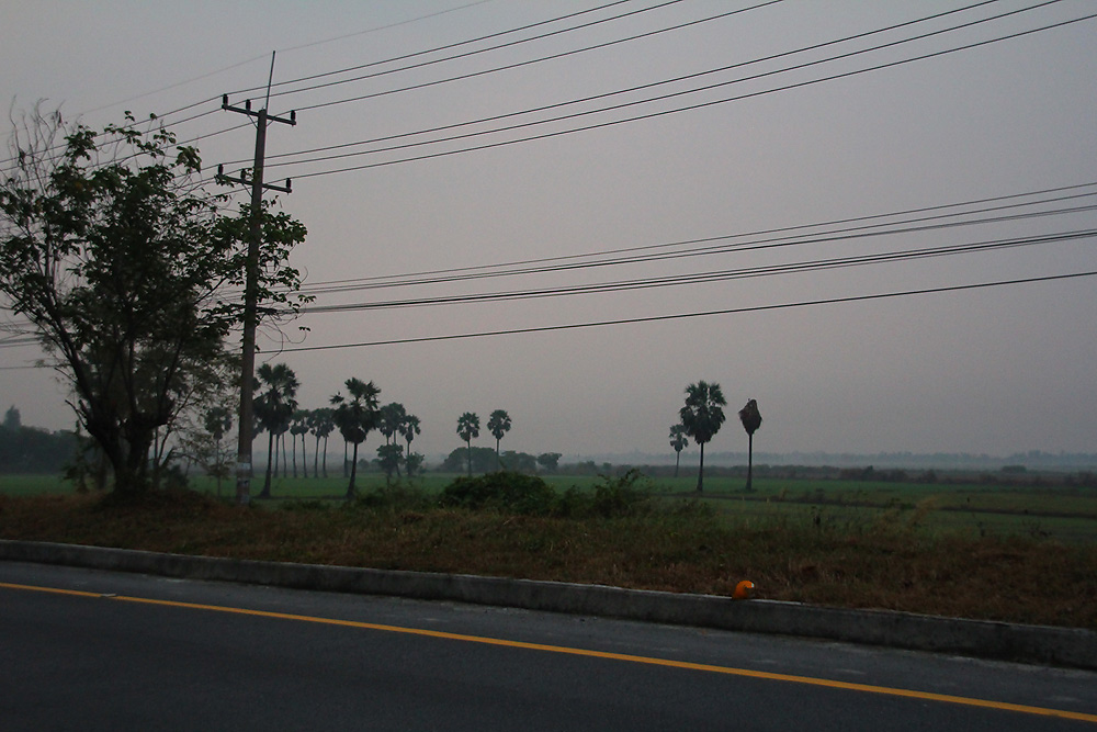 หลุดพ้นจากชุมชนเมือง ไม่มีรถติด ไม่มีตึดราบ้านช่อง มีแต่ท้องทุ่งนา ความสวยที่สุดจะบรรยาย :cheer: :ch