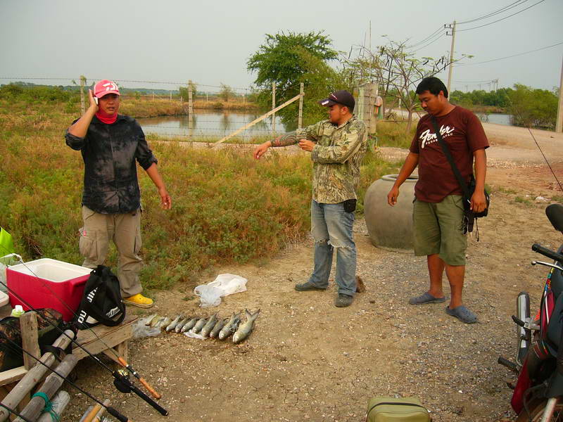 โทรถามแฟนก่อนเอาปลาไรบ้าง(ล้อเล่นนะ)... :laughing: :laughing: :laughing: