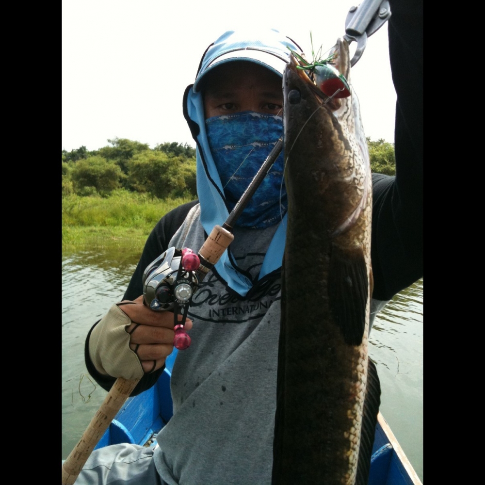 Snake head fishing , Kang-Ka-Jan  Dam

Evergreen Temugin Kaleido The Super Cougar  6' 10" , 8-18