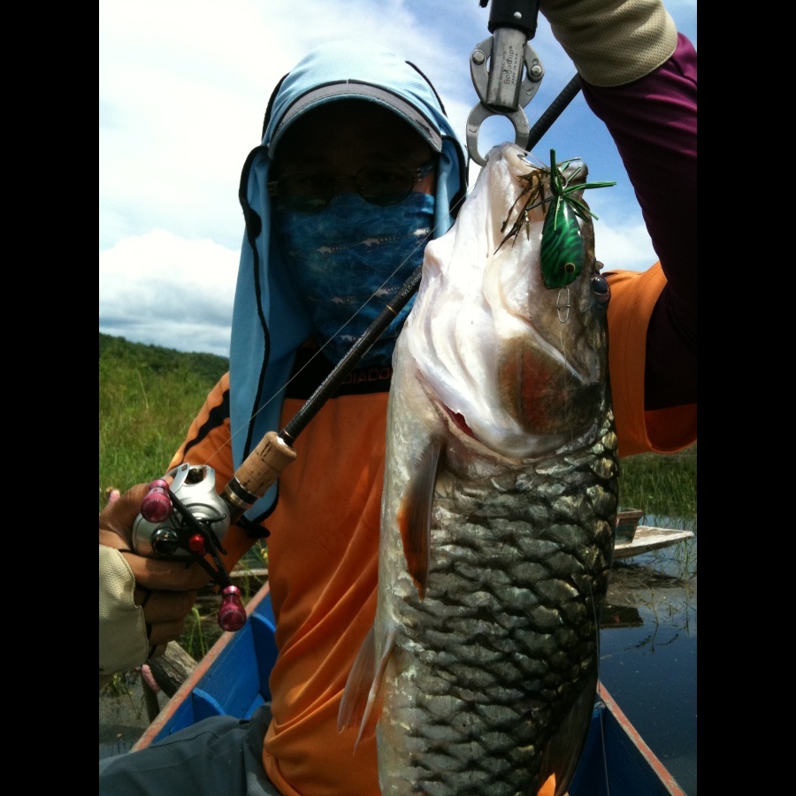 Spotted hampala fishing ( กระสูบ ) , Kang-Ka-Jan  Dam , Phetchaburi

Evergreen Temugin Kaleido The