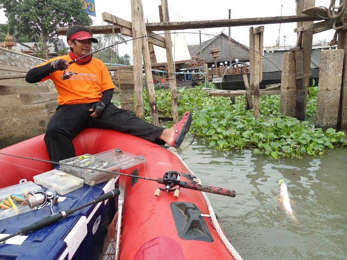 ระหว่างจอดเรือนั่งตก ผมกะพี่ยอดอยู่ที่เรือ  ส่วนตัวโปรเดียร์  เดินไปตีเหยื่อเลาะริมกำแแพง  ผมก็จั่วก