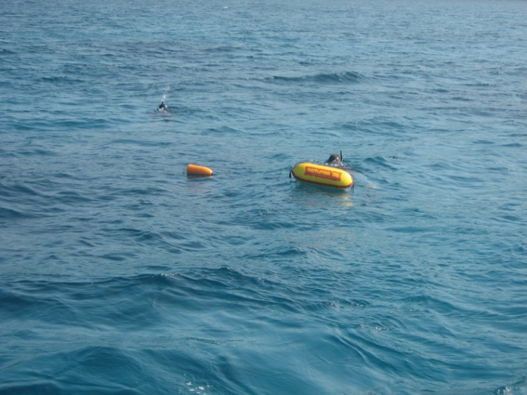 สมาชิกลงดำยิงปลา มีทุ่นติดตัวไปด้วย เพื่อให้ที่เรือได้รู้ว่าตอนนี้ ดำอยู่แนวไหน ของเกาะ  :grin: