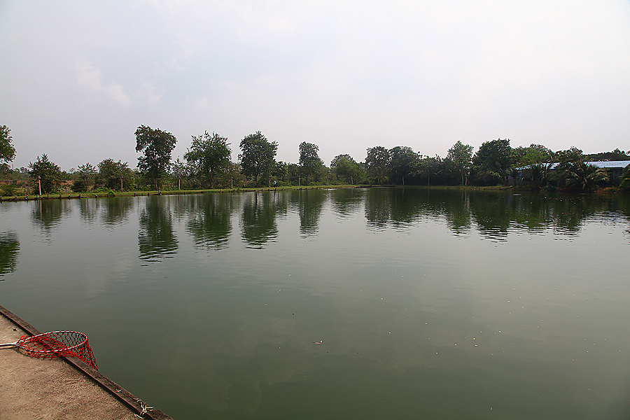 PATTAYA FISHING PARK