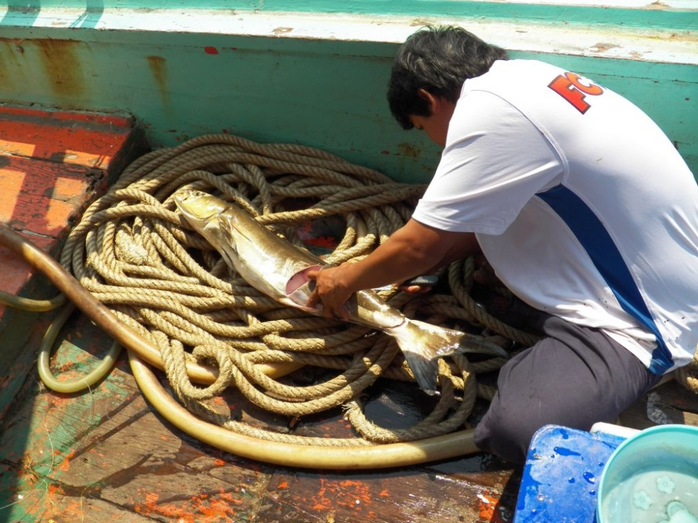 ใครที่เคยลงเรือกับไต๋นนท์ น่าจะรู้นะครับ