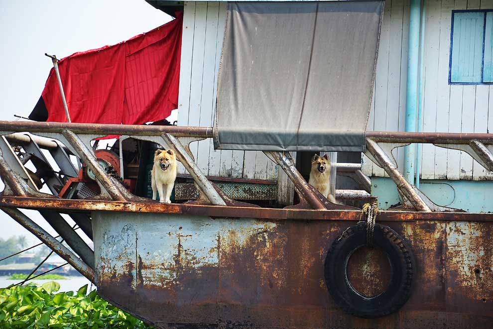 ลอยมาข้างเรือ ลำนี้หมายเด็ดครับ 
ใครแน่ ลองตีเหยื่อไปติดบนเรือของ เจ้าตัวนี้ดูสิ มันมีอยู่ 5 ตัว ออ