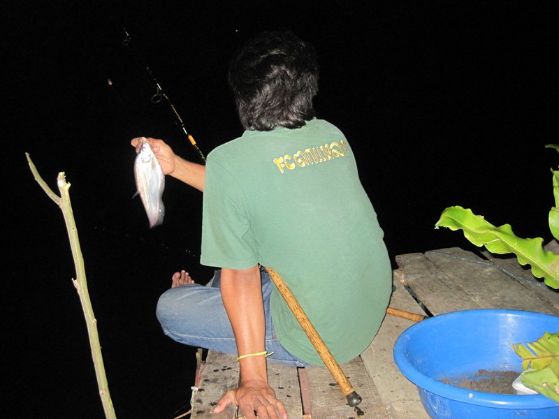 ช่วงกลางคืนปลาไม่ค่อยเข้าเพราะแพเราลอยหนีหมายเลยตีเหยื่อไม่เข้าหมายเลยไม่ค่อยโดนปลามีแต่ปลาเล็กๆๆ :u