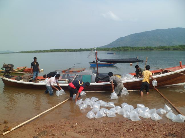 เตรียมขนย้ายขึ้นเรือเพื่อนำไปปล่อย