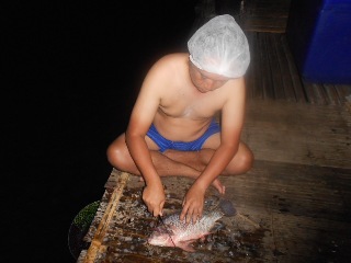 ก่อนอาบน้ำ ทำปลาที่ตาย ใส่ลังน้ำแข็งก่อนครับ เดี๋ยวจะเน่าซะ  :cool: :cool: