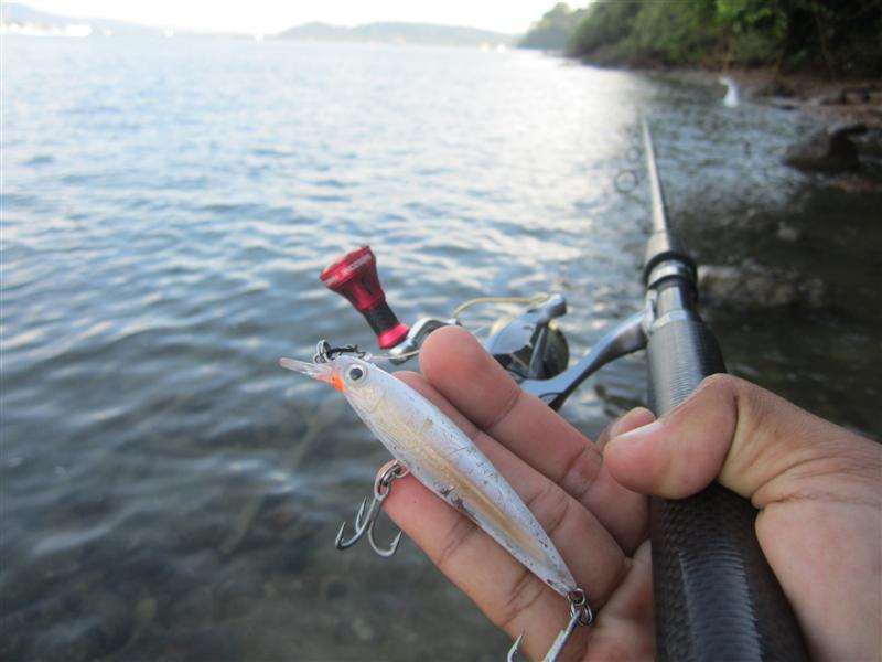  :cheer:  ลองเปลี่ยนเหยื่อดูบ้าง
 :cheer: กับ RAPALA X-RAP 8  ขาวมุก ( แต่ข้างในมันมีทองนะ ) :grin: