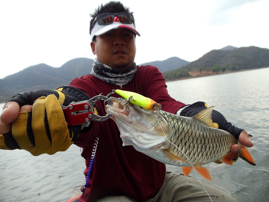  [b]** Rapala pop7 cm. กระชากแล้วหยุด...เคาะมาเรื่อยๆ เรียกความสนใจได้ดีทีเดี๊ยะ.....เอิ๊กส์ๆๆๆๆๆๆๆๆ