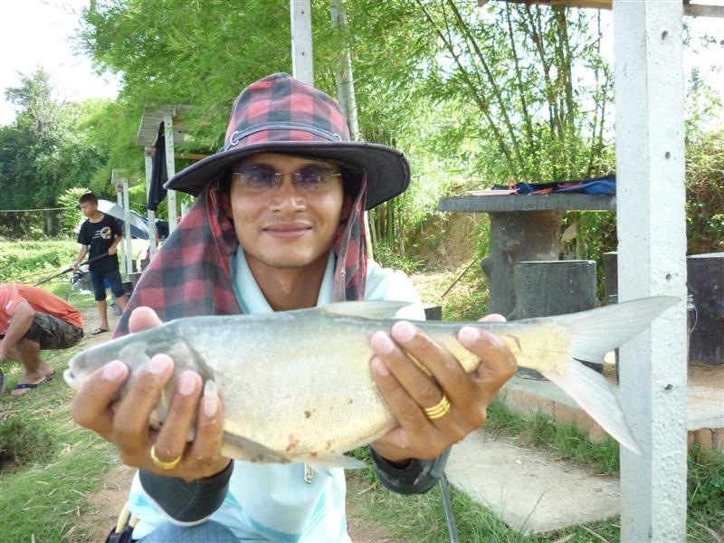                           หันมาอีกทีน้ามดเอามาอีกหน่วยแล้ว  :smile: