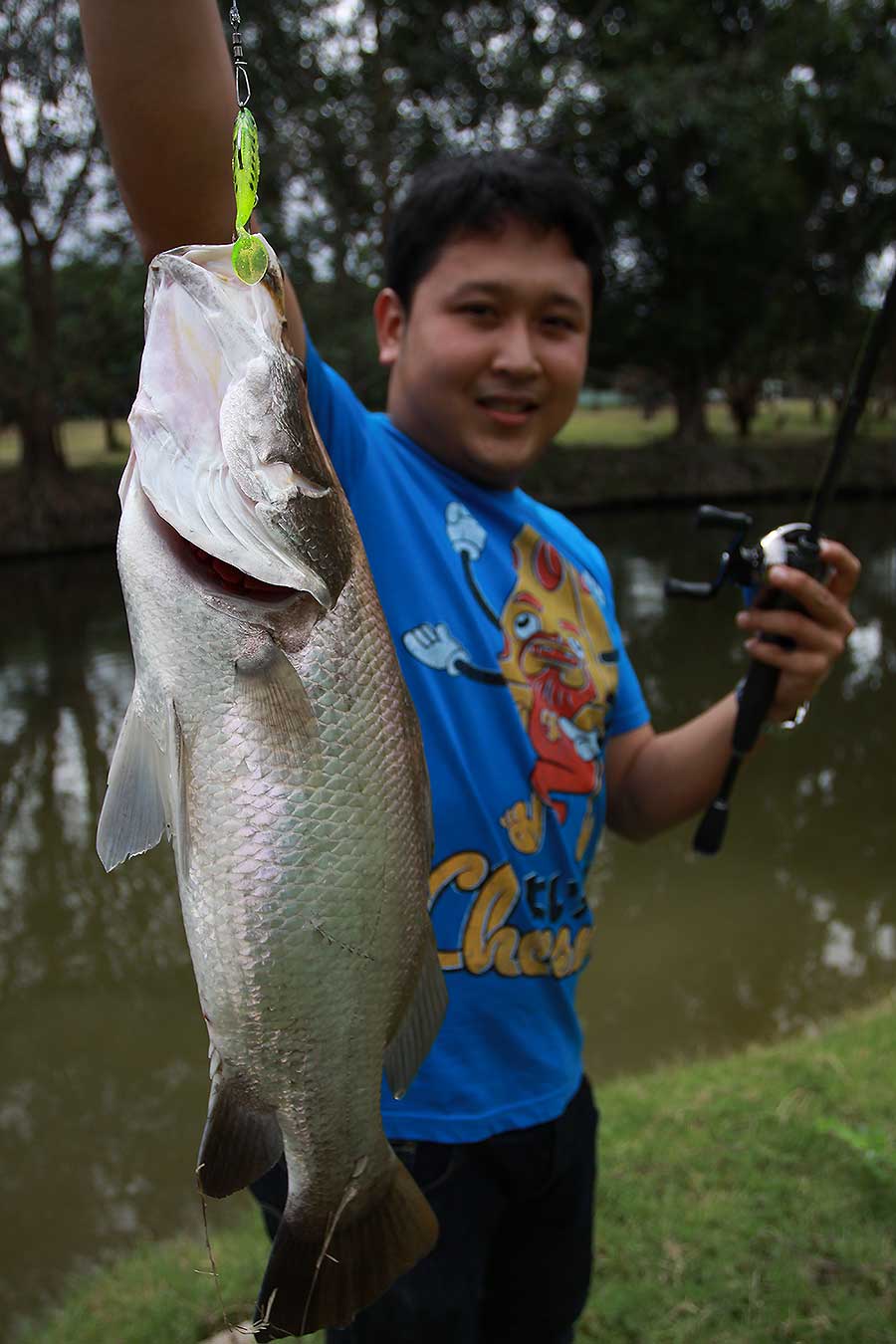 ปลายาง SURECATCH Live Shad 2.5 สีGREEN  :grin: :grin: :grin: