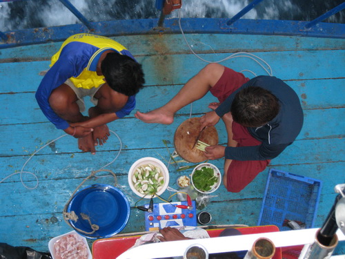 พอมืดปลาหยุดกินแระทุกคนหาที่พักนอนเล่นกัน แต่พี่บรรบอกไม่ยอมอาหารทุกมื้อต้องตรูเท่านั้น!  :cool: :co