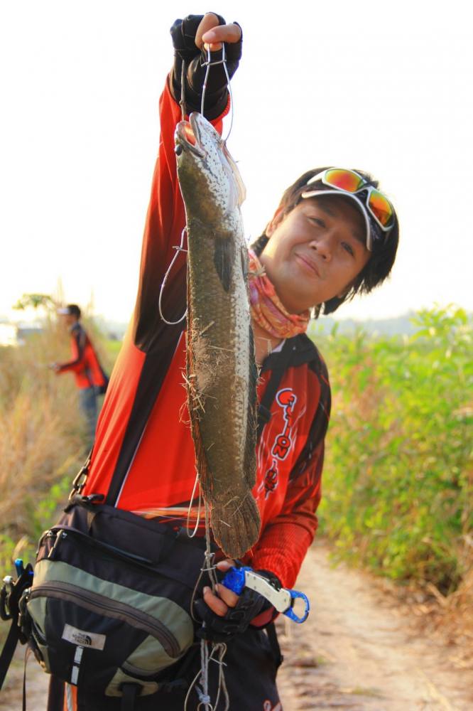 [q][i]อ้างถึง: Mong-Actionlure posted: 03-04-2556, 10:12:17[/i]

เอสามต้องหาปลามาใหม่แล้วน่ะ โดนนั