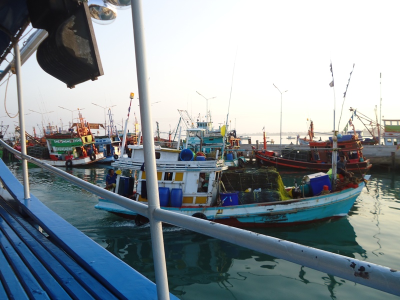 
บรรยากาศของท่าเรือเพทายยามเช้า เรือหลายลำเริ่มเทียบท่า พร้อมกับความคึกคักของตลาดปลาสด ปูทะเล ที่พ่